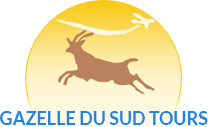 Gazelle du sud